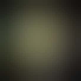 Tangieberto 90µ | Whipped Live Rosin | 1g