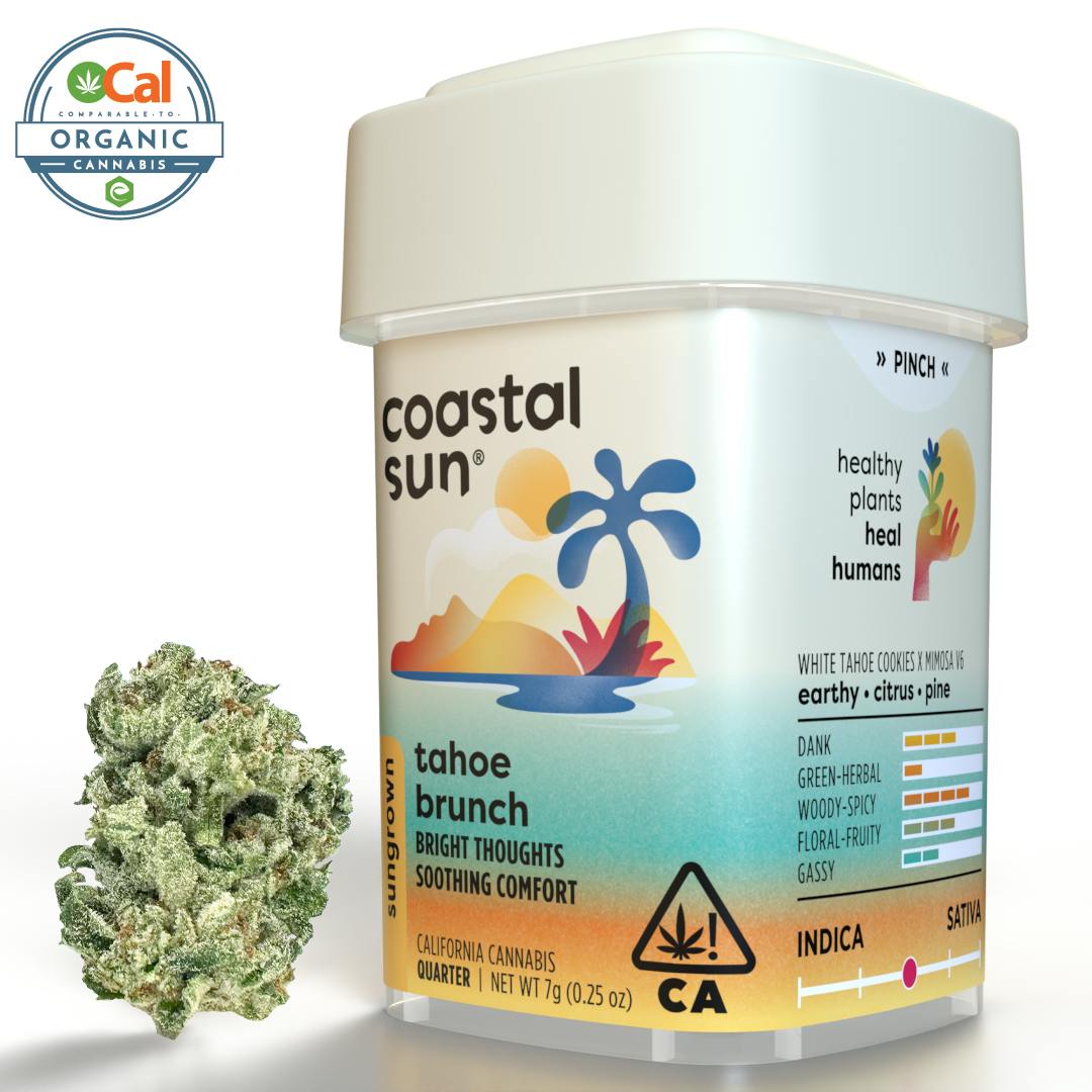 Coastal Sun — Tahoe Brunch