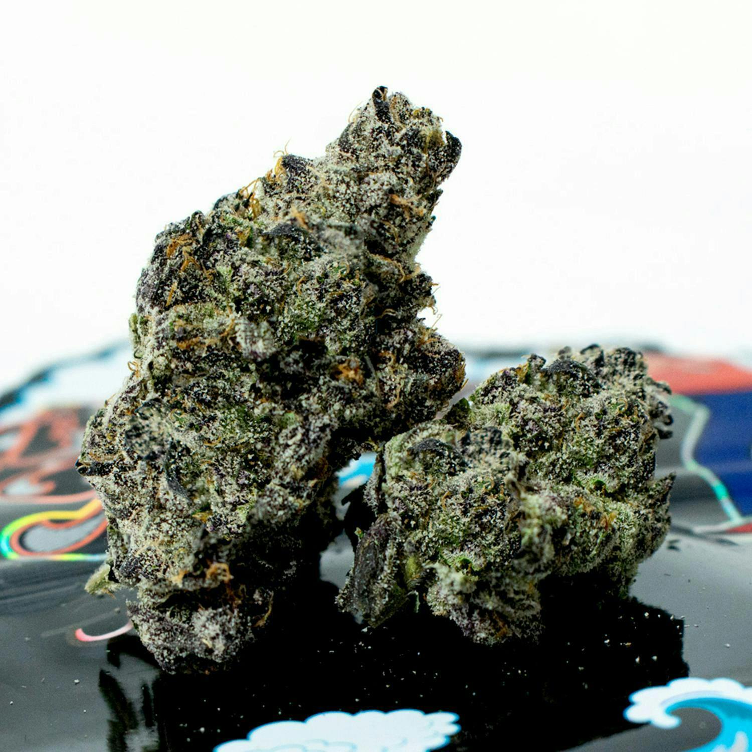 TEDS BUDZ — Black Fish