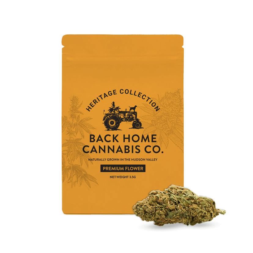 Acapulco Gold Buds