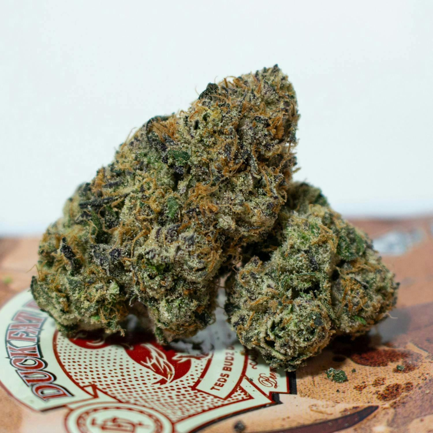 TEDS BUDZ — Sweet