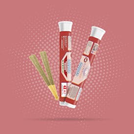 Designer Runtz - 1g Infused Preroll