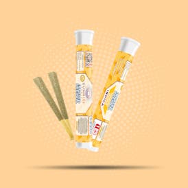 Frosted Mango - 1g Infused Preroll