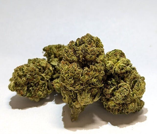 Governmint Oasis Flower