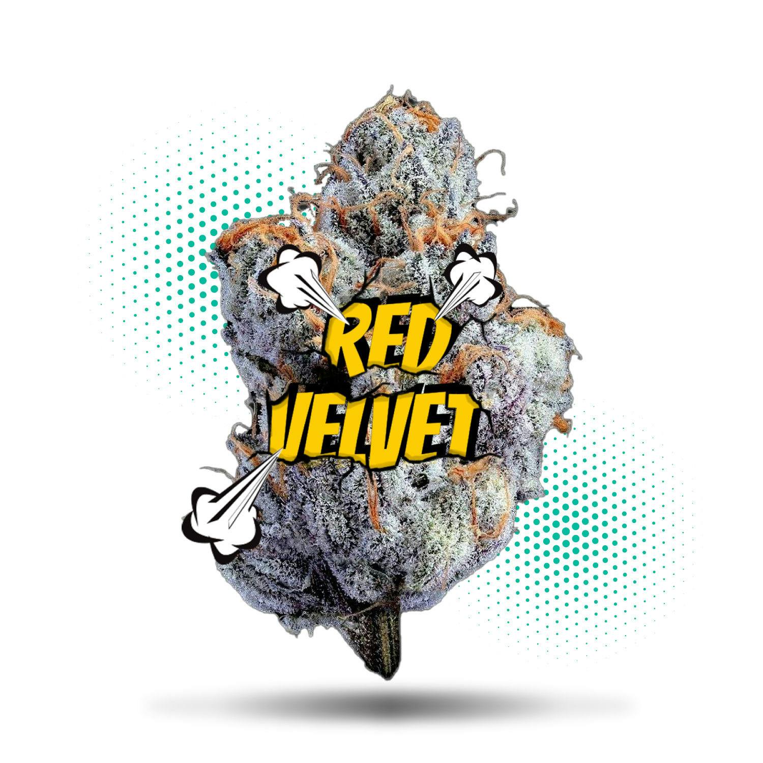 Frostiez — Red Velvet