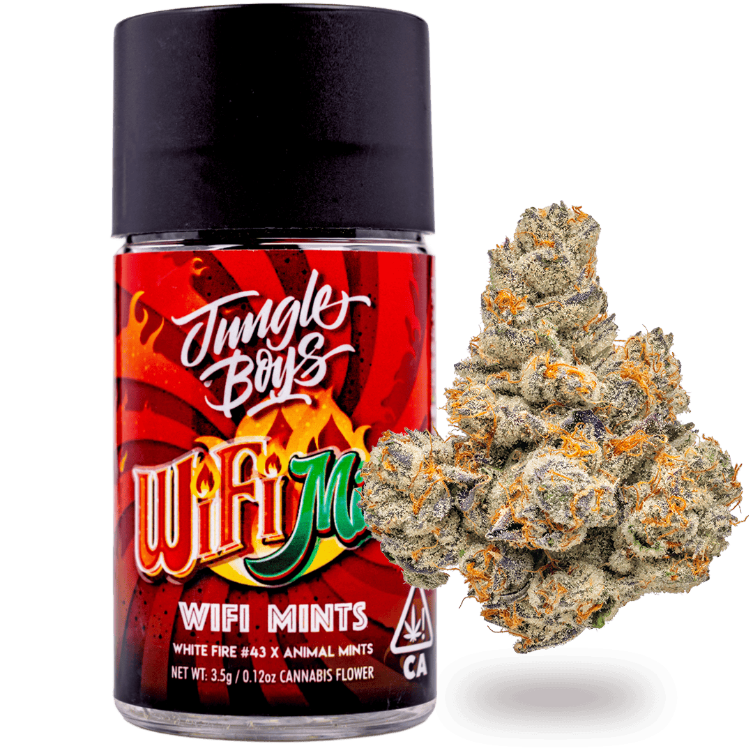 Jungle Boys | Wifi Mints - 3.5g Jar
