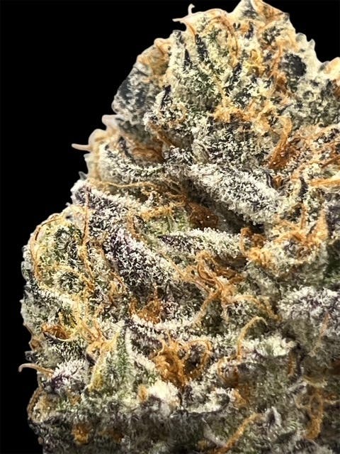 GARLIC CRUSHER 3.16% TERPS (SIRIUS EXCLUSIVE) by SIRIUS RESEARCH LLC