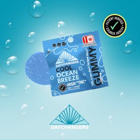Day Changer | Ocean Breeze Single Gummy | 250mg