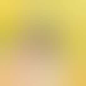 Tropicanna Cookies (1g) Blunt