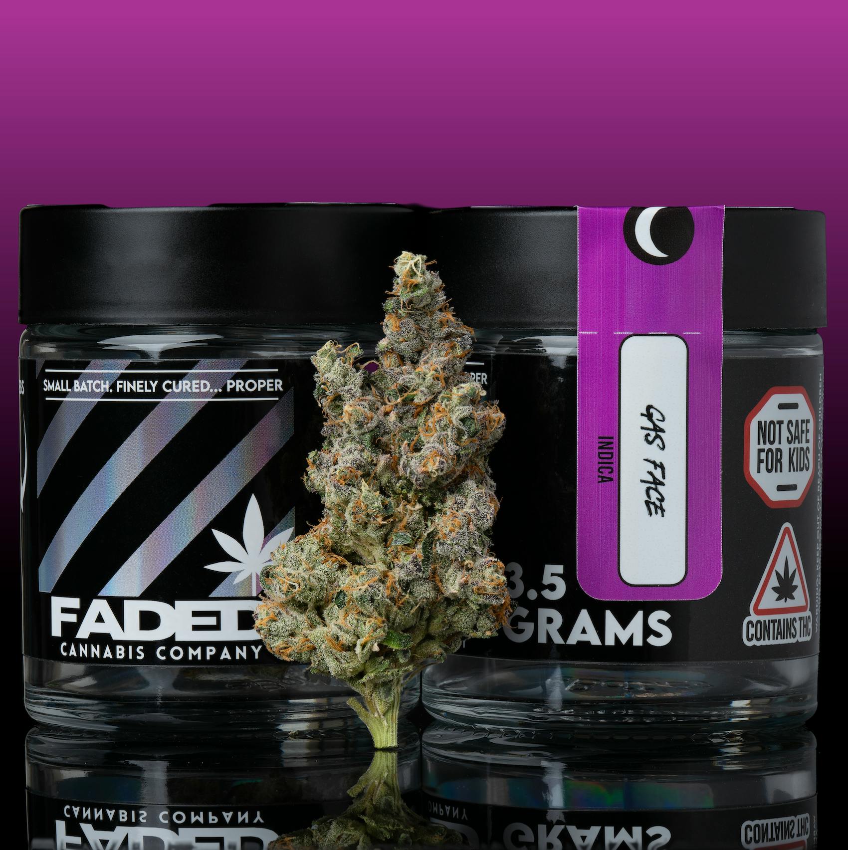 Gas Face - (Face Mintz x Biscotti Sherbet)