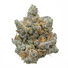 Sour Sunset Flower