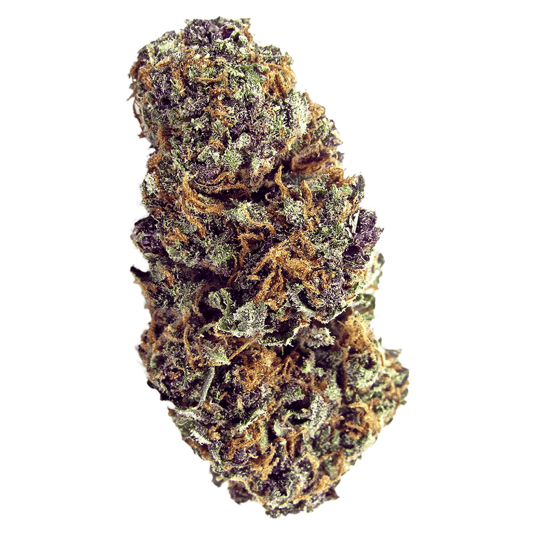 Strawberry Candy Gelato Flower