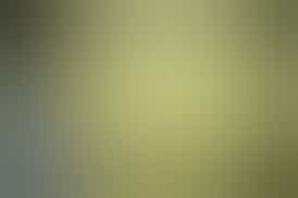 Strawberry Candy - 1g Live Rosin