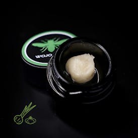 Mega Mind - 1g Live Rosin