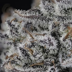 Swagyu - 3.5g Prepackaged Eighth