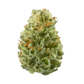 Strawberry Cough - Indoor Bulk Flower