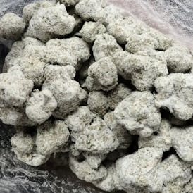 Grape - Snow Caps