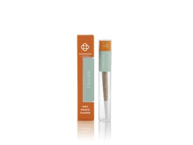 Cruise Preroll