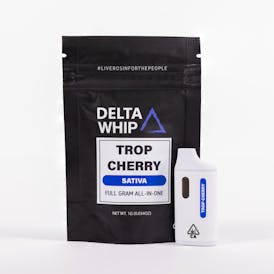 Delta Whip - Trop Cherry Live Rosin AIO 1000mg