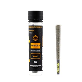 MIMOSA 1G JOINT
