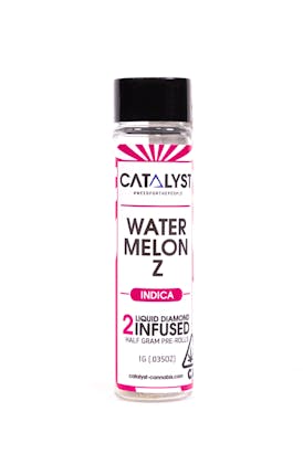 Catalyst - Watermelon Z Infused 2 pack 1g