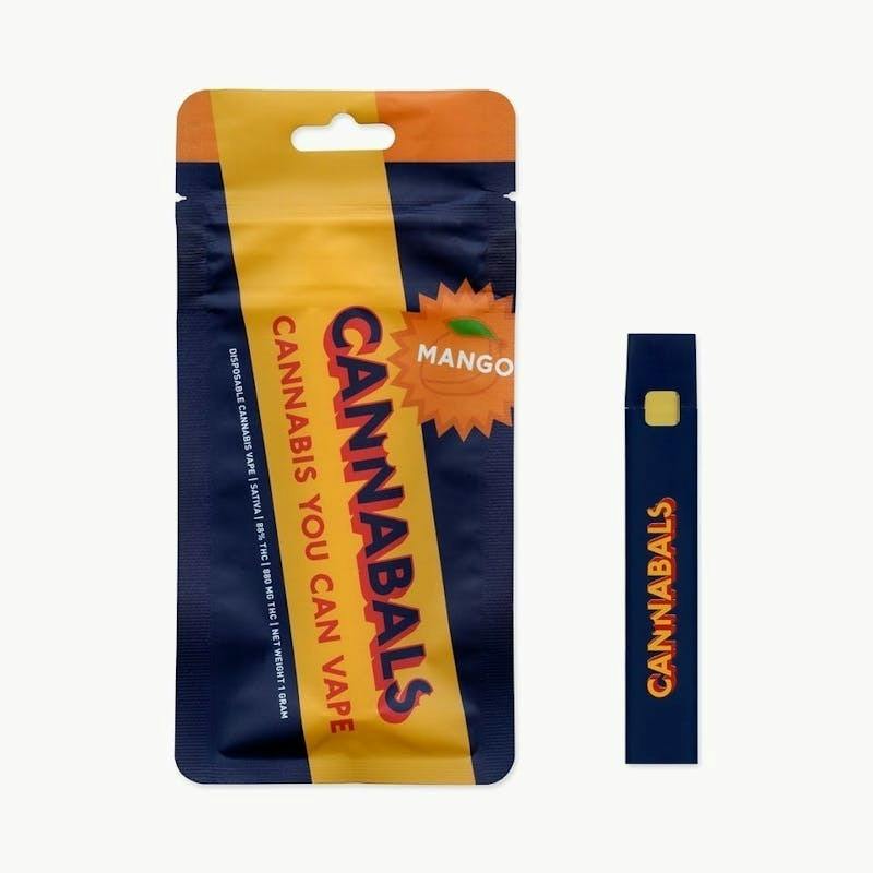 Strawberry Kush - Disposable Vape Cartridge - 1 Gram at Black Market Canna Co LLC