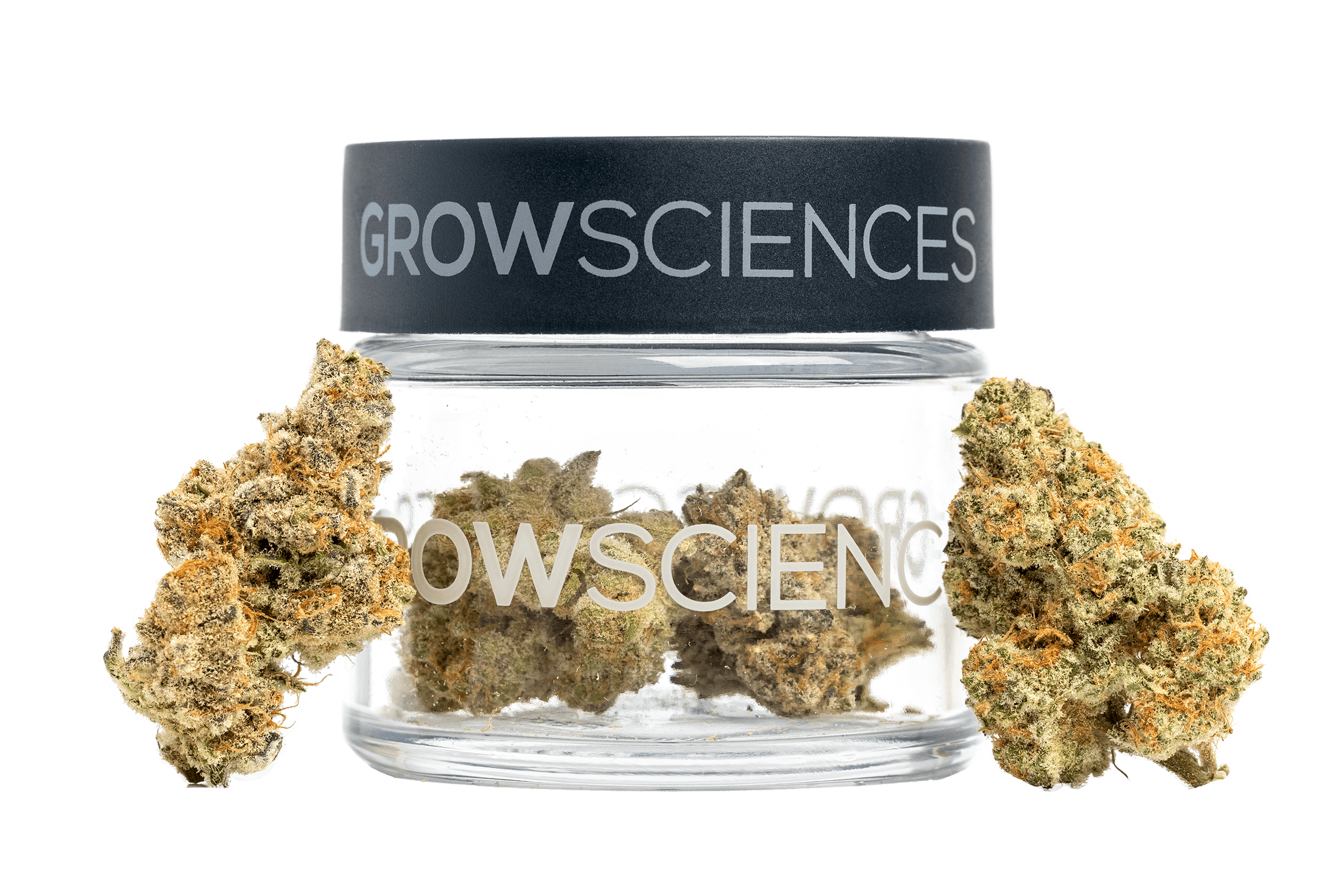 SBC 26 Flower Jar (1/8th) - Grow Sciences