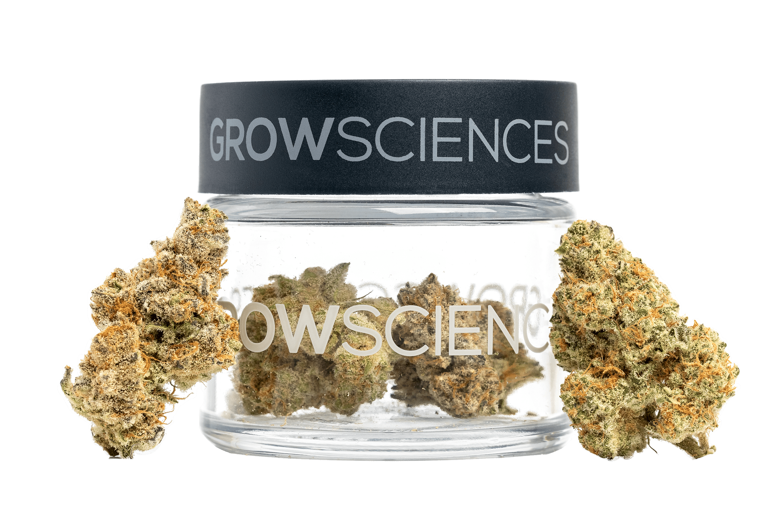 Lemon SHerb Flower Jar 3.7g (1/8th) by Grow Sciences
