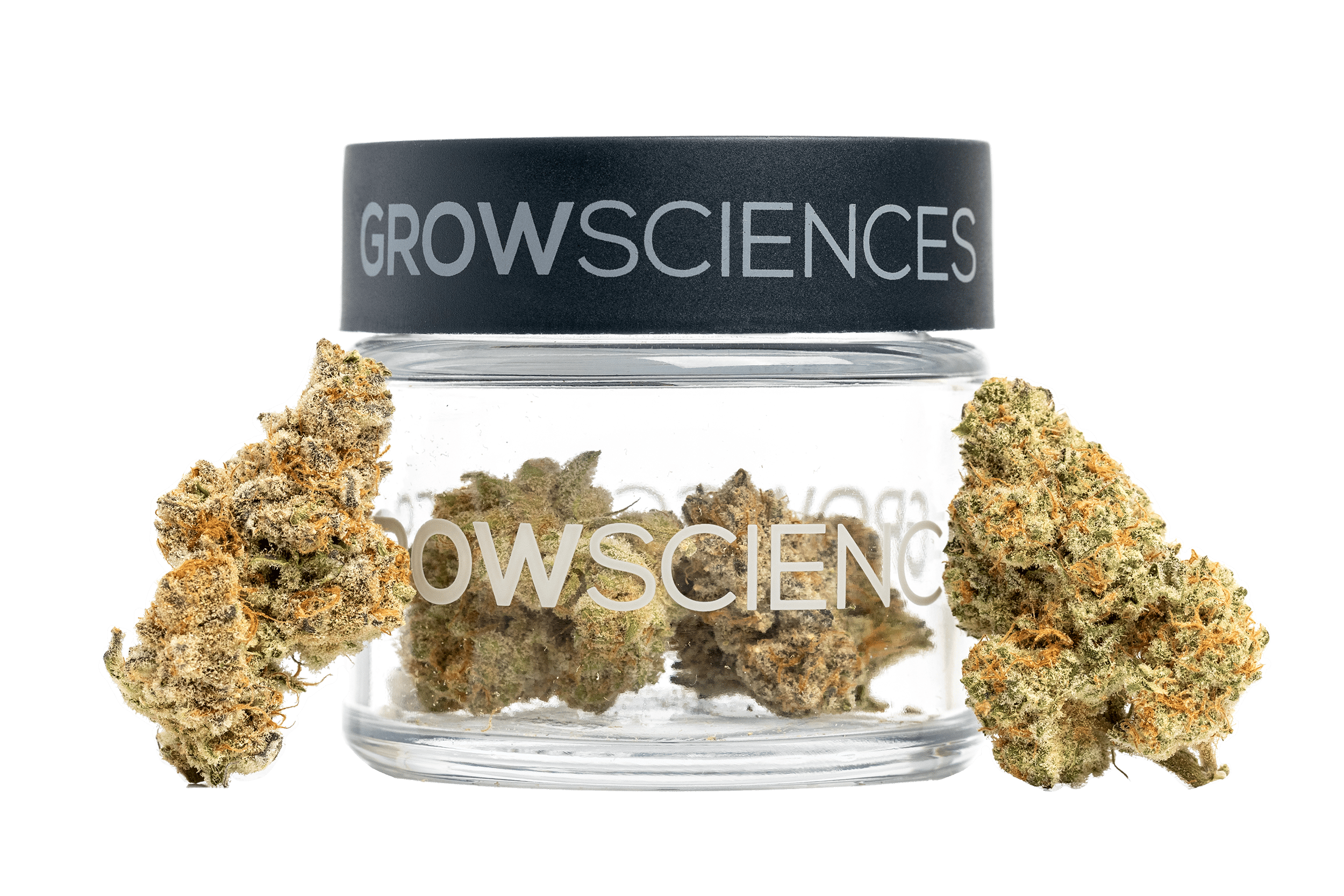 Zktz Cubed Flower Jar 3.7g