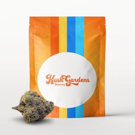 Popcorn Flower - Tangie
