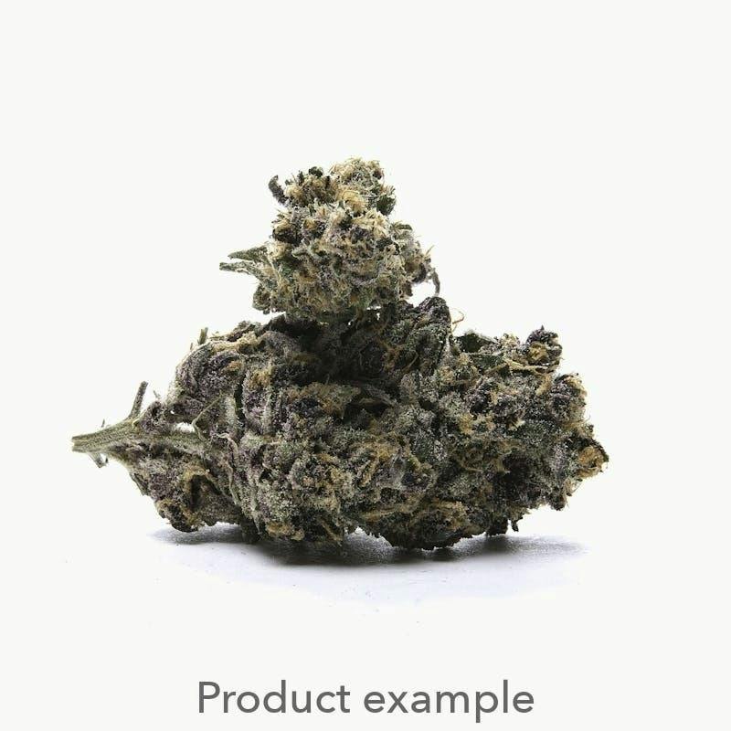 Dragonfly - The Spice - 3.5g Flower by Dragonfly