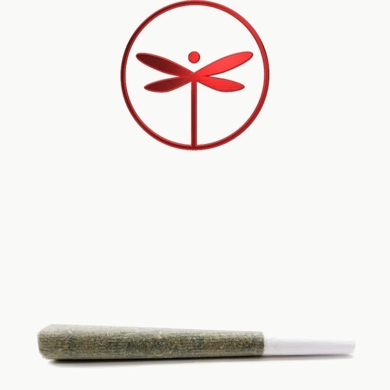 Dragonfly - Red Razzleberry - 1.25g Pre Roll
