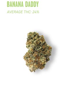 Ozone | Banana Daddy Reserve | Flower | 3.5G