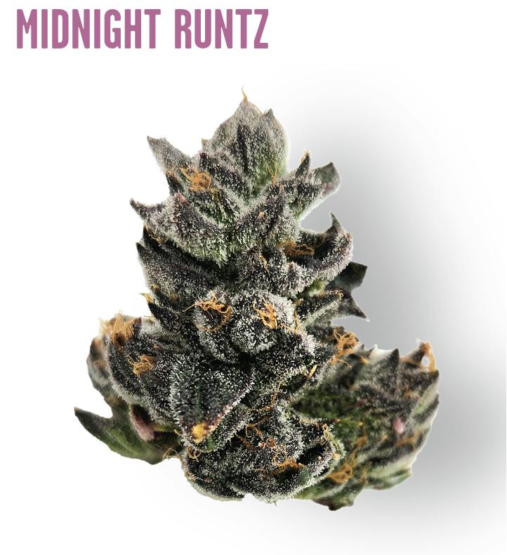Ozone | Midnight Runtz | Flower | 3.5G - Ozone