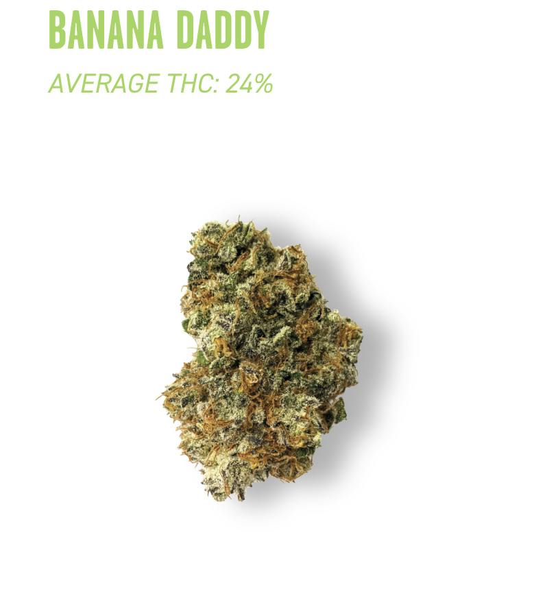 Ozone | Banana Daddy | Shake | 7G by Ozone