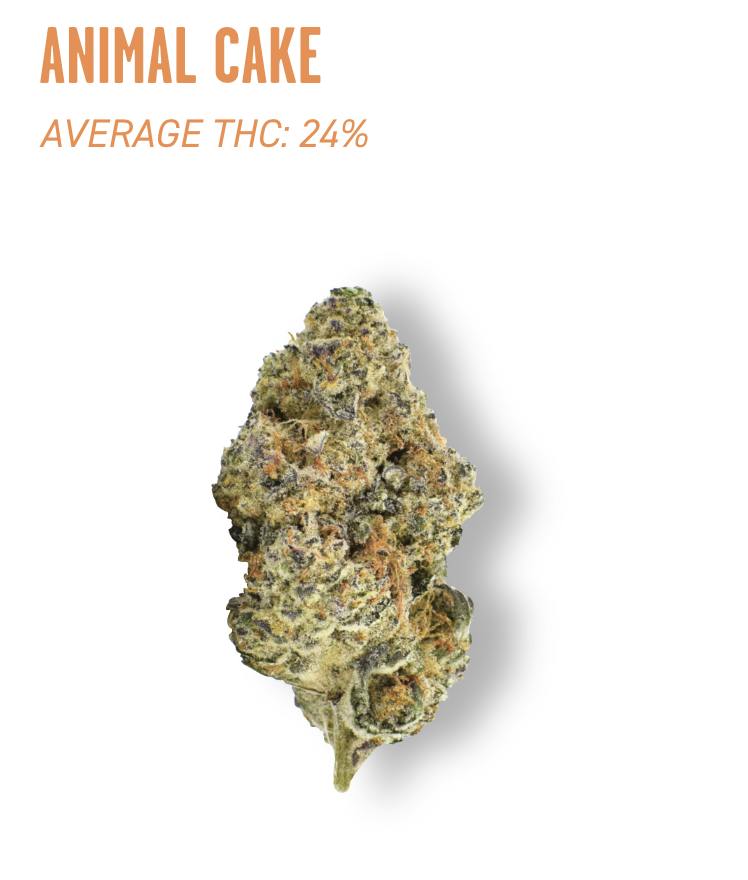 Ozone | Animal Cake | Shake | 7G by Ozone