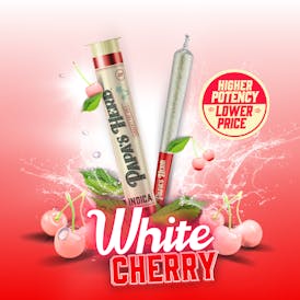 White Cherry OG (1g) Preoll