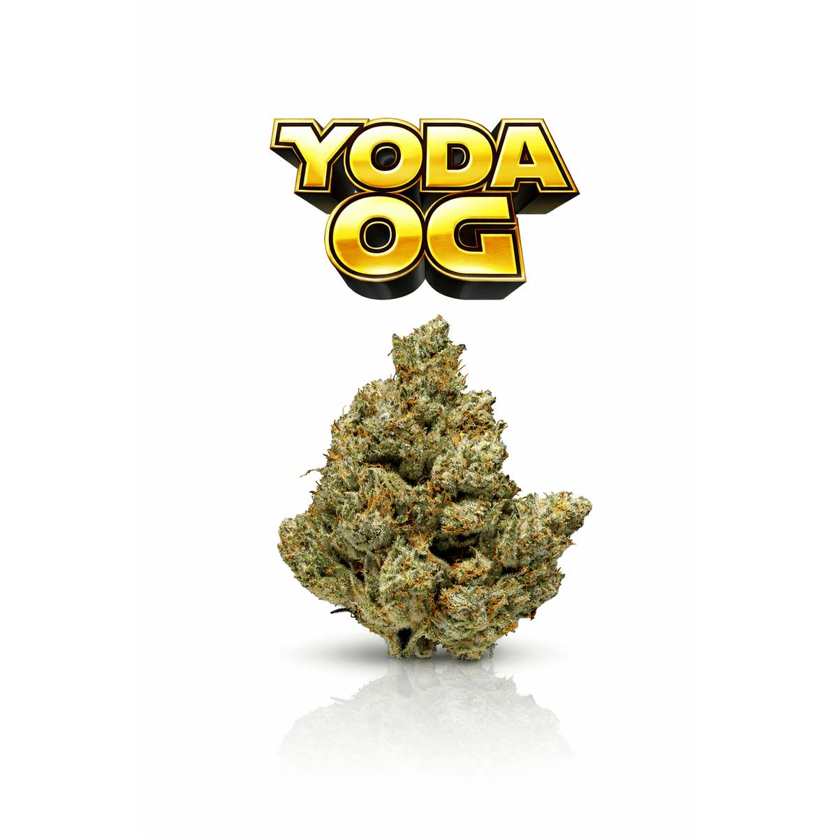 YODA OG - 28G - INDOOR FLOWER - INDICA - Kings