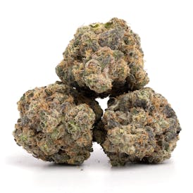 Lemon Cherry Gelato - Top Shelf Flower - 1oz 28g.