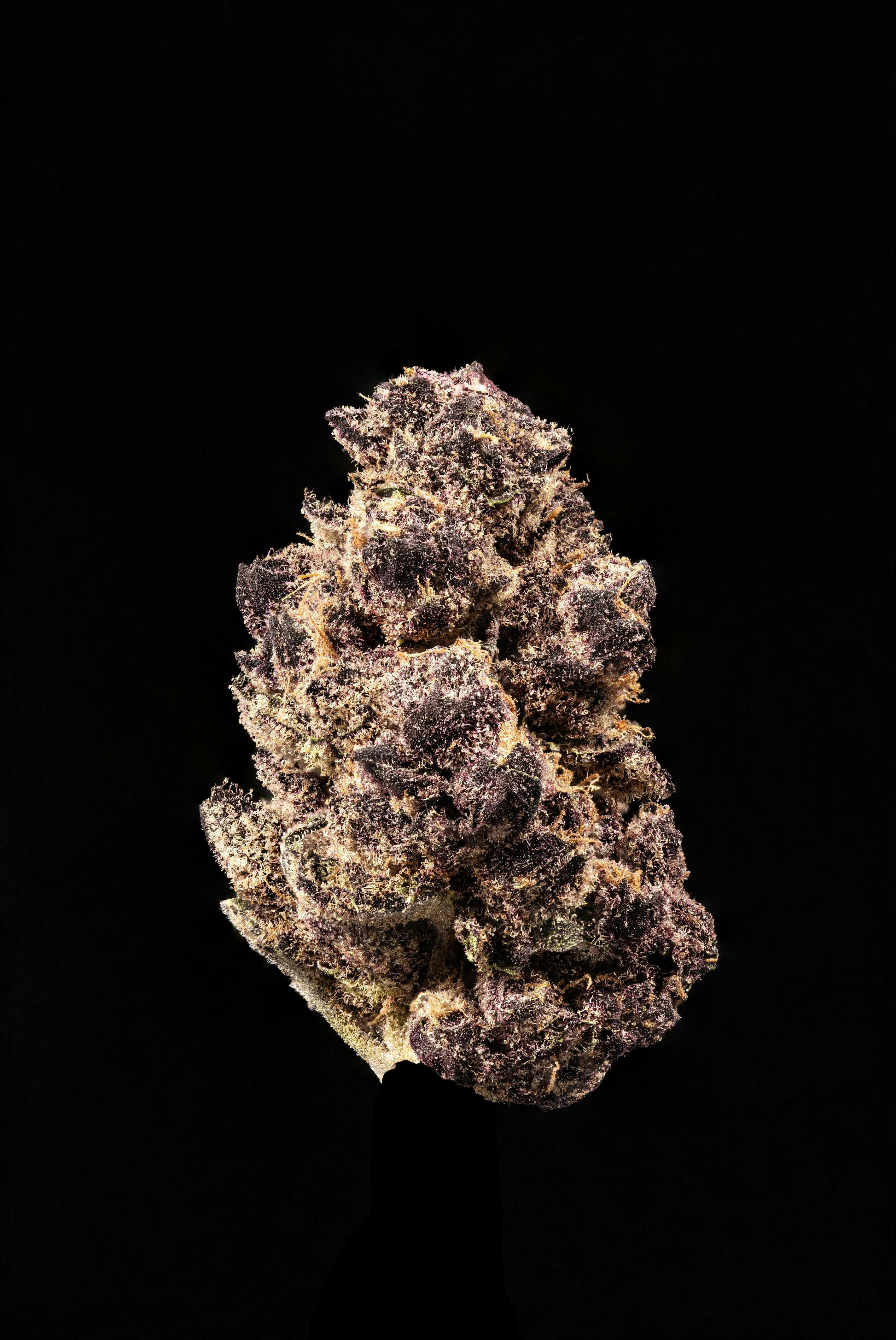 Rainbow Fruits Flower by Stackhouse NV