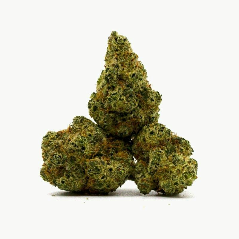MJ Verdant - Donkey Butter 1g