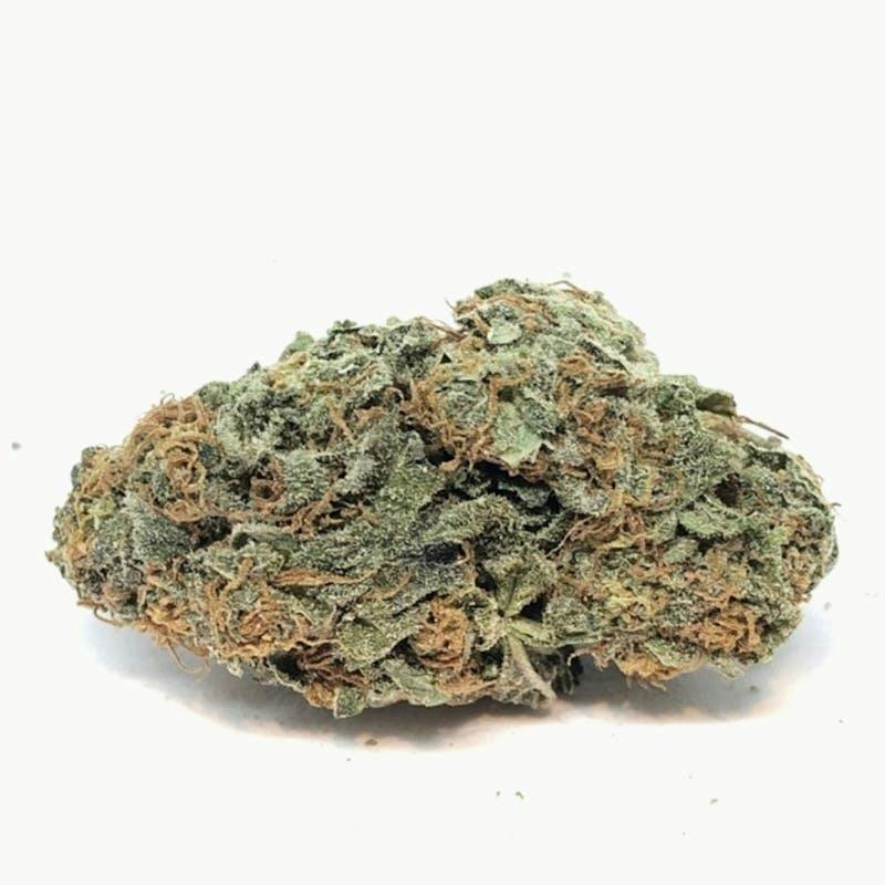 MJ Verdant - Cherry Garcia 1g