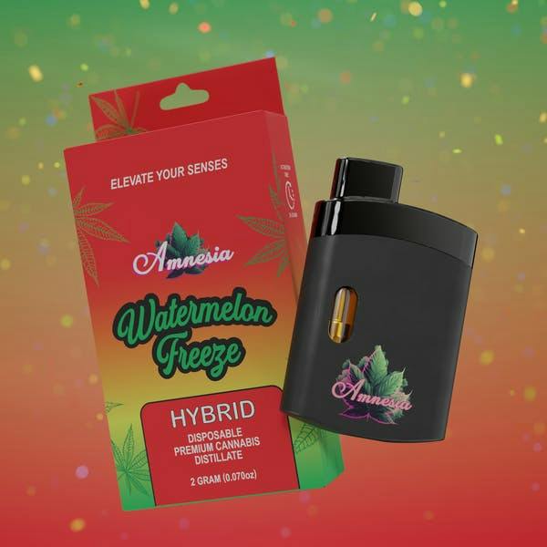 Watermelon Freeze | Disposable | 2g