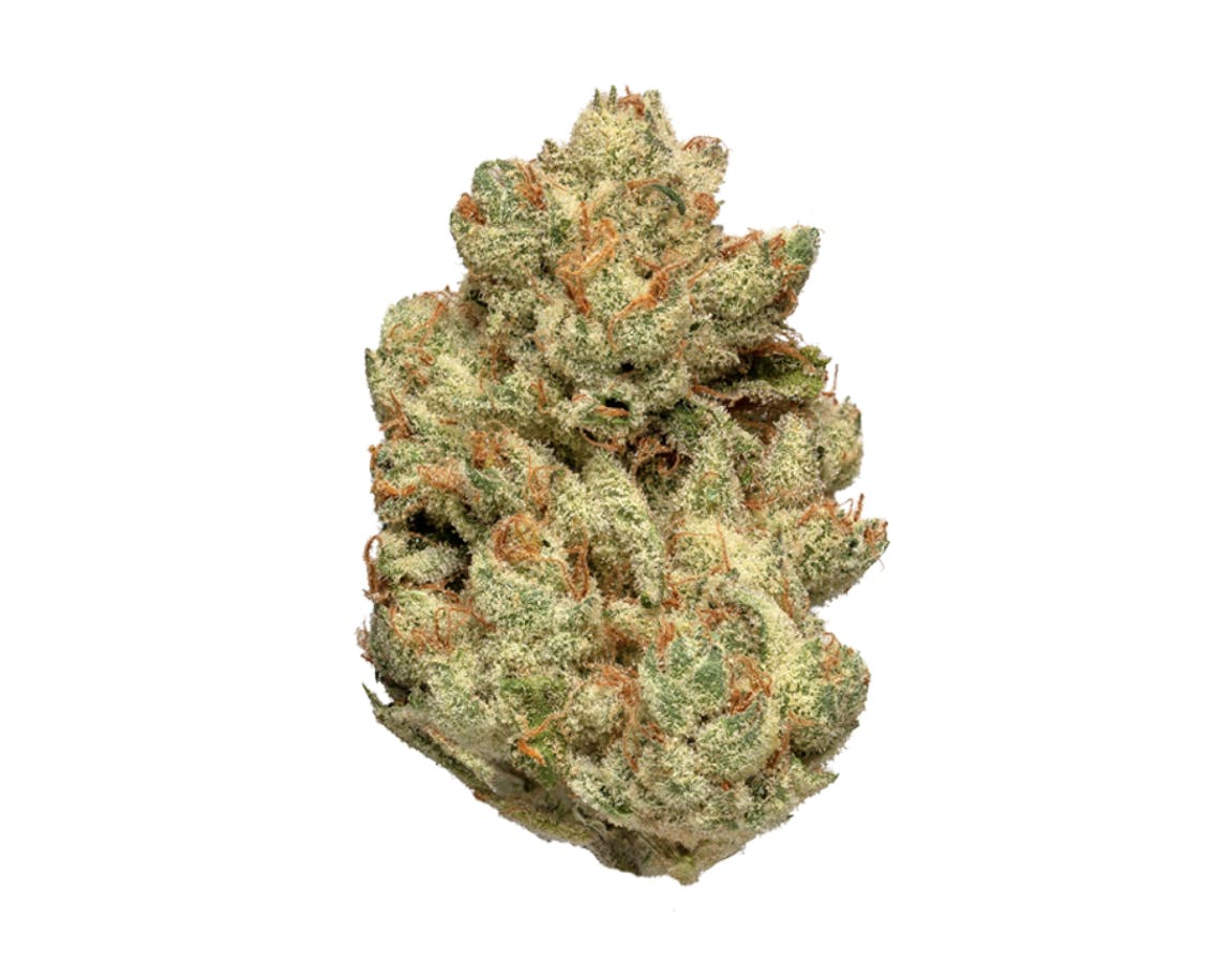Revolution | Gorilla'd Cheese | Flower | 14G by Revolution Cannabis