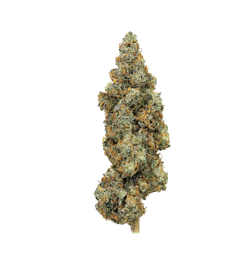 Revolution | First Class Funk | Flower | 14G - Revolution Cannabis