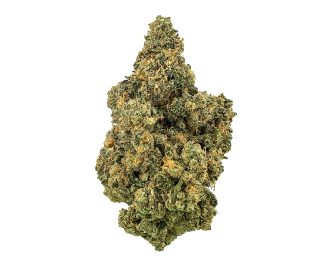 Revolution | Paradise #6 | Flower | 3.5G by Revolution Cannabis