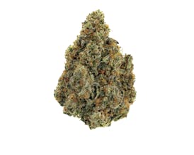 Revolution | Red Velvet | Flower | 3.5G