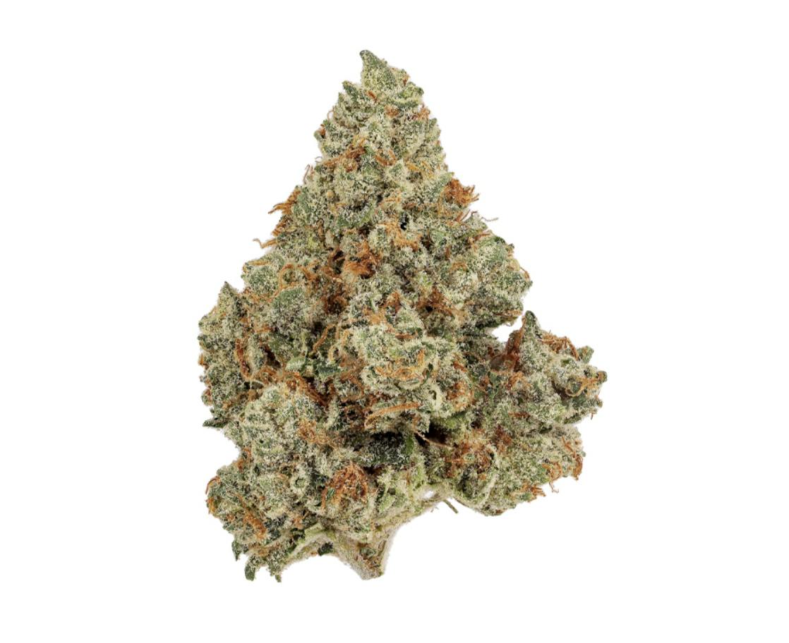 Revolution | Sun King OG | Flower | 3.5G