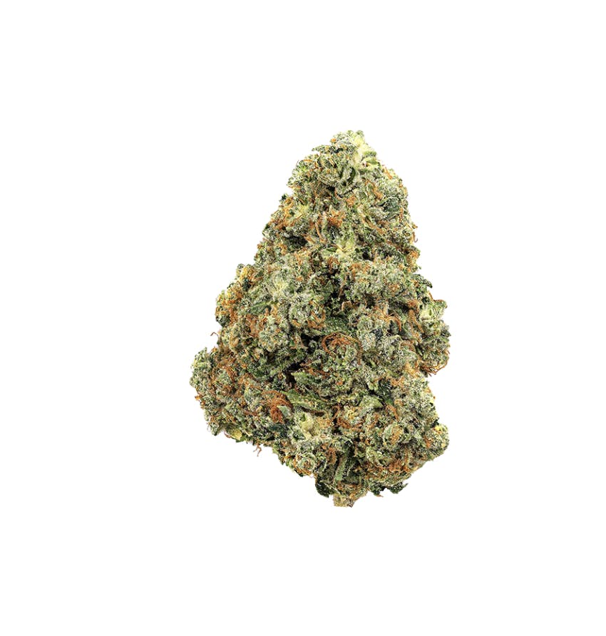 Revolution | Jungle Cake | Flower | 3.5G by Revolution Cannabis