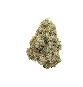 Revolution | Jungle Cake | Flower | 3.5G